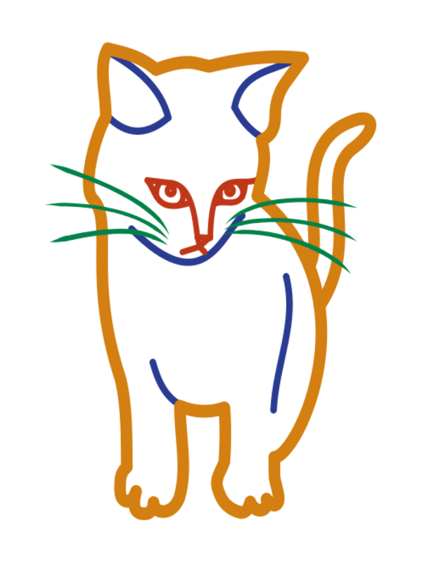 cat animal