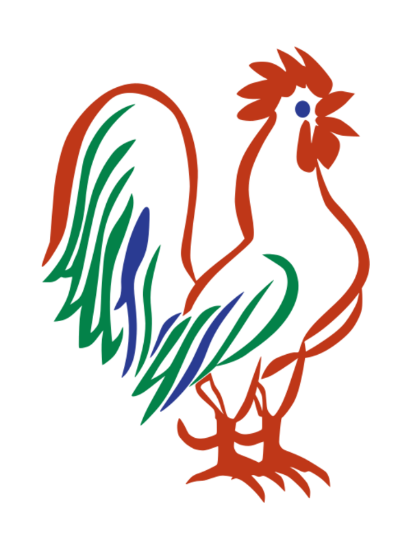 cockerel animal