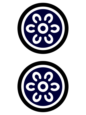 2 dot