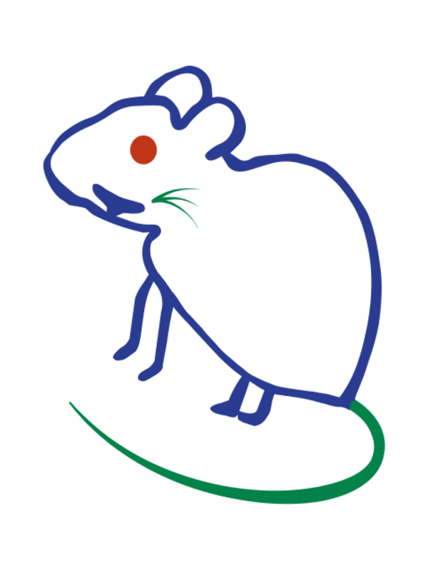 rat animal