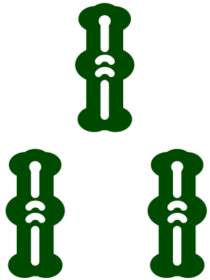 3 bamboo