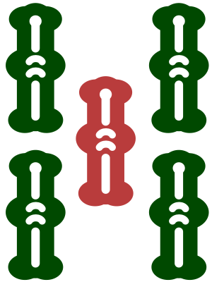 5 bamboo